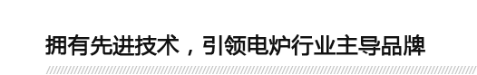 擁有先進(jìn)技術(shù)，引領(lǐng)電爐行業(yè)主導(dǎo)品牌